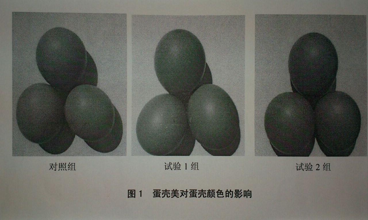 j9国际站(中国)集团官网